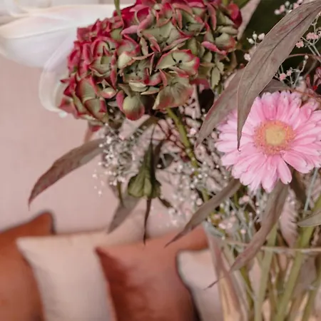 住宿加早餐酒店 Jeanne