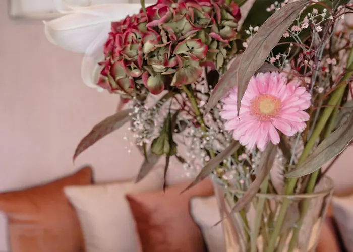 Oda ve Kahvaltı Jeanne